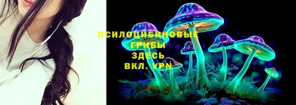 тгк Алексин