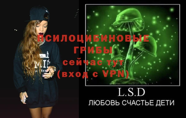 тгк Алексин