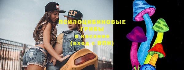 ешки Абинск